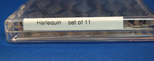clear-box-with-spine-label.jpg